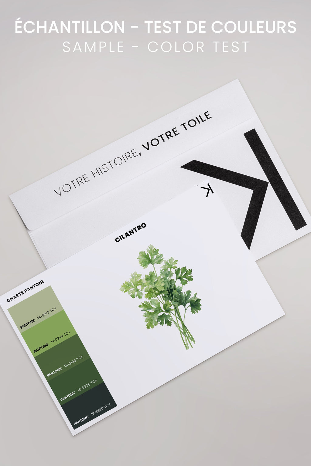 CILANTRO, Oeuvre sur toile étirée