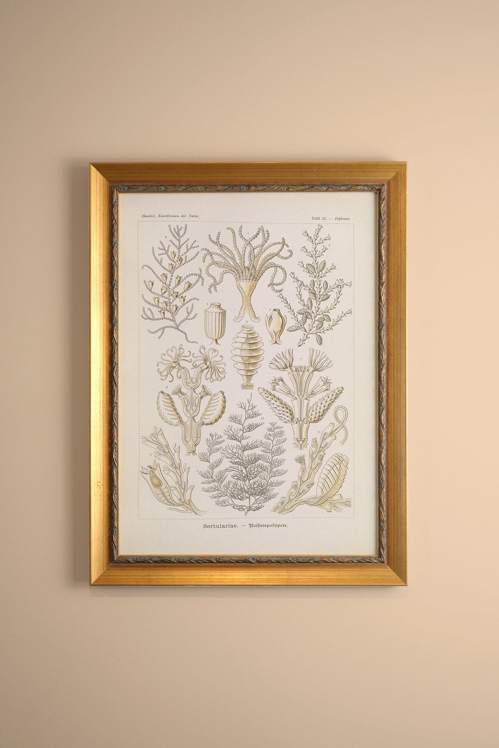 ESSENCE MARINE, CADRE VINTAGE OR