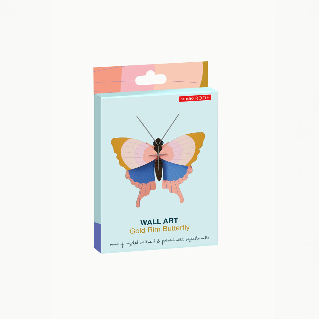 Gold Rim Butterfly