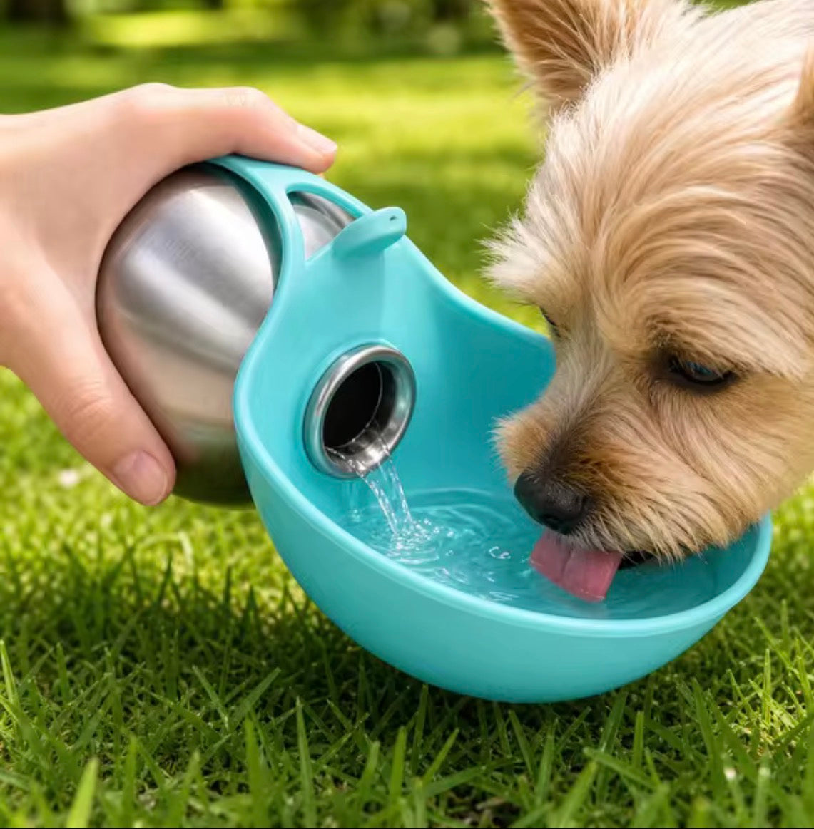 VELORA Stainless Steel 2-in-1 Dog & Cat Water Bottle