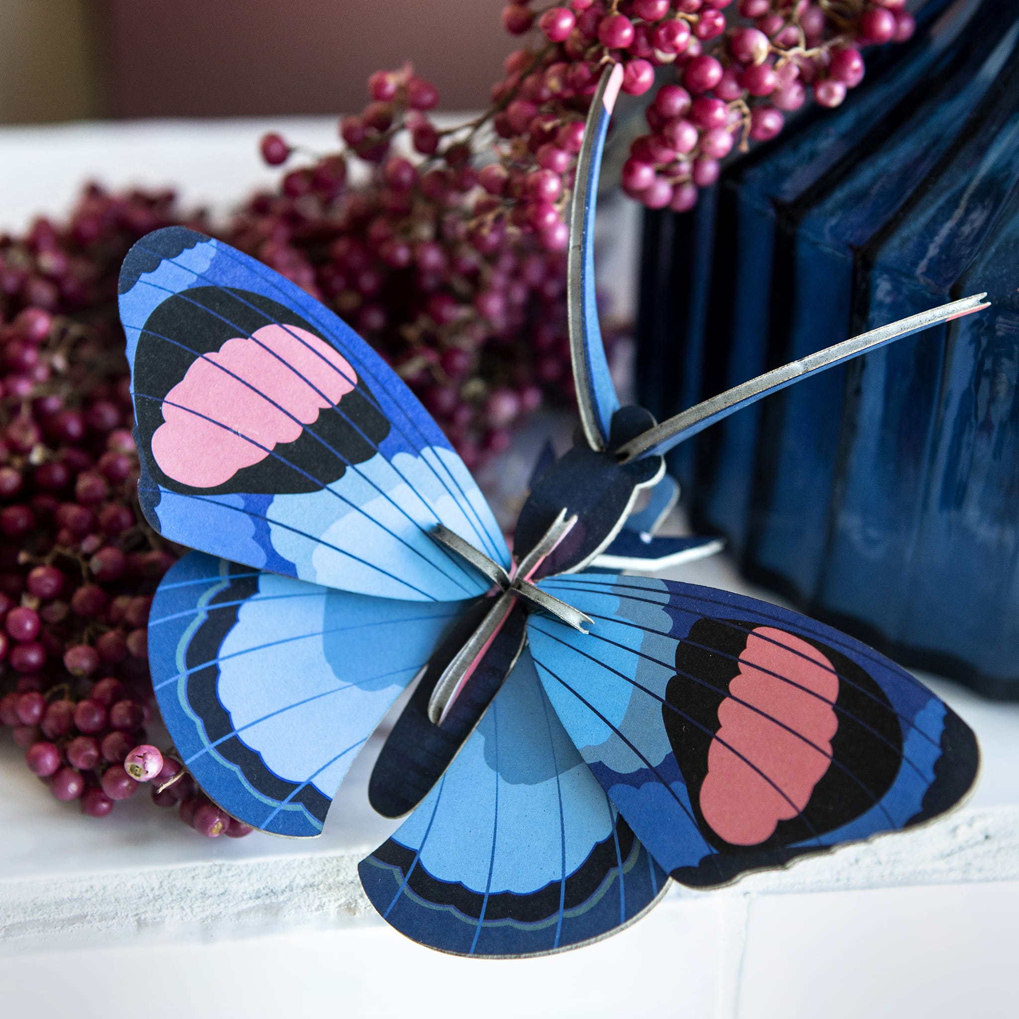Peacock Butterfly